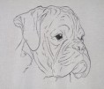 /album/boxer/a00030-2-jpg/